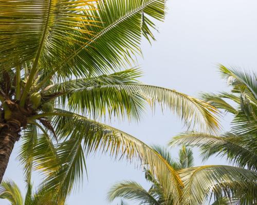 Les îles de Guadeloupe