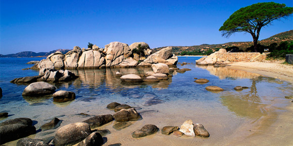Excursion catamaran en Corse du Sud