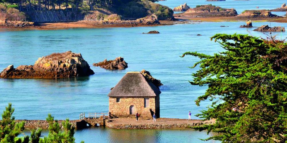 Excursion catamaran archipels de Bréhat, des Sept-Îles et île de Batz