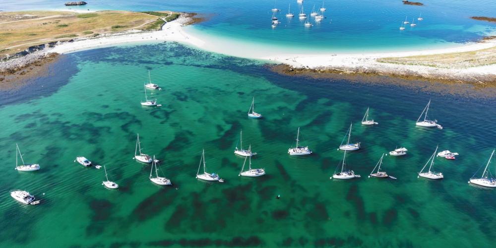 Excursion catamaran archipels de Bréhat, des Sept-Îles et île de Batz