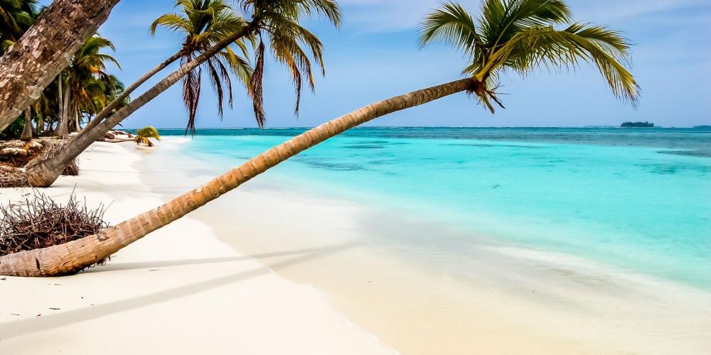 Excursion catamaran Îles de Guadeloupe