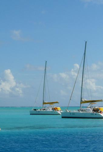 Sections Voile et Sport